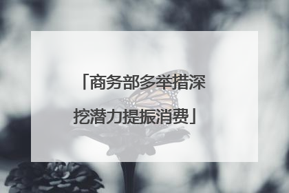 商务部多举措深挖潜力提振消费