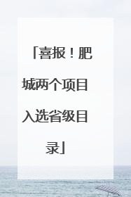 喜报！肥城两个项目入选省级目录