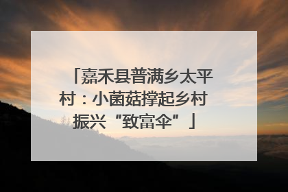嘉禾县普满乡太平村：小菌菇撑起乡村振兴“致富伞”