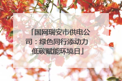 国网瑞安市供电公司：绿色同行添动力 低碳赋能环境日