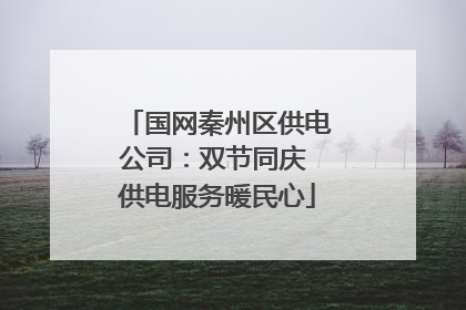 国网秦州区供电公司：双节同庆 供电服务暖民心