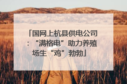 国网上杭县供电公司：“满格电”助力养殖场生“鸡”勃勃