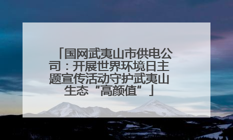国网武夷山市供电公司：开展世界环境日主题宣传活动守护武夷山生态“高颜值”