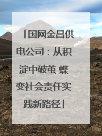 国网金昌供电公司：从积淀中破茧 蝶变社会责任实践新路径