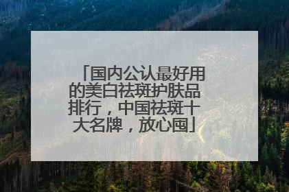 国内公认最好用的美白祛斑护肤品排行，中国祛斑十大名牌，放心囤