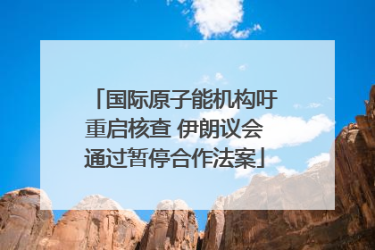 国际原子能机构吁重启核查 伊朗议会通过暂停合作法案