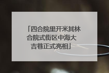 四合院里开米其林 合院式街区中海大吉巷正式亮相