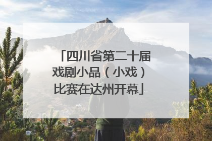 四川省第二十届戏剧小品（小戏）比赛在达州开幕