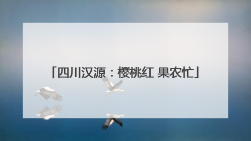 四川汉源：樱桃红 果农忙