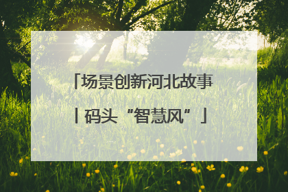 场景创新河北故事丨码头“智慧风”