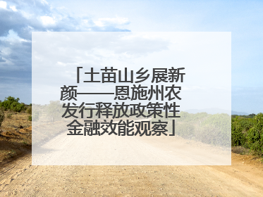 土苗山乡展新颜——恩施州农发行释放政策性金融效能观察