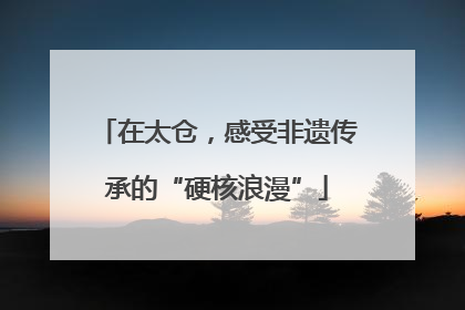 在太仓，感受非遗传承的“硬核浪漫”