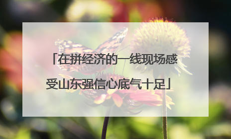 在拼经济的一线现场感受山东强信心底气十足