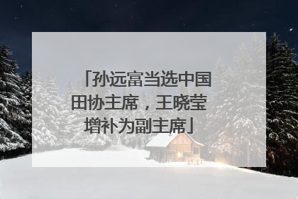 孙远富当选中国田协主席，王晓莹增补为副主席