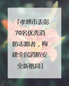 孝感市表彰70名优秀消防志愿者，构建全民消防安全新格局
