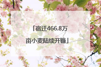 宿迁466.8万亩小麦陆续开镰