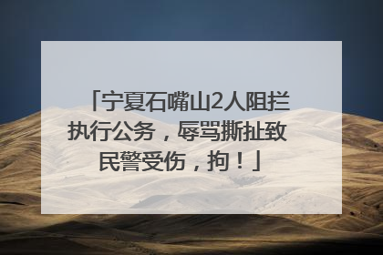 宁夏石嘴山2人阻拦执行公务，辱骂撕扯致民警受伤，拘！