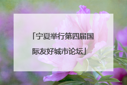 宁夏举行第四届国际友好城市论坛