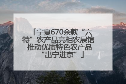 宁夏670余款“六特”农产品亮相农展馆 推动优质特色农产品“出宁进京”