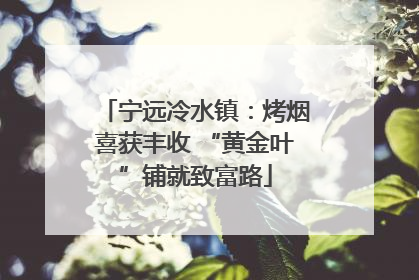 宁远冷水镇：烤烟喜获丰收 “黄金叶”铺就致富路