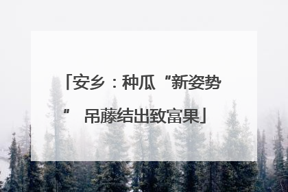 安乡：种瓜“新姿势” 吊藤结出致富果