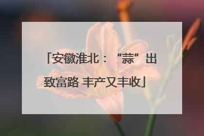 安徽淮北：“蒜”出致富路 丰产又丰收