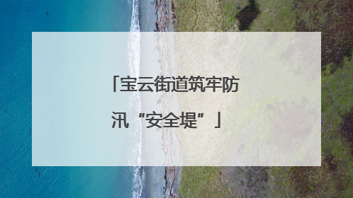 宝云街道筑牢防汛“安全堤”