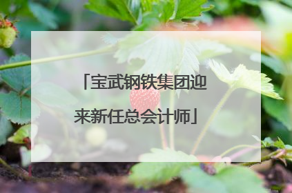 宝武钢铁集团迎来新任总会计师
