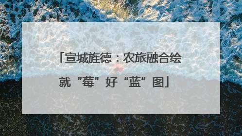 宣城旌德：农旅融合绘就“莓”好“蓝”图