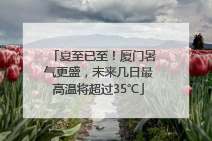夏至已至！厦门暑气更盛，未来几日最高温将超过35℃