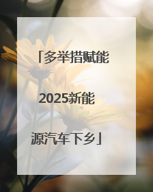 多举措赋能2025新能源汽车下乡