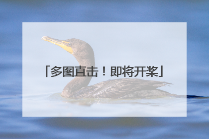 多图直击！即将开桨