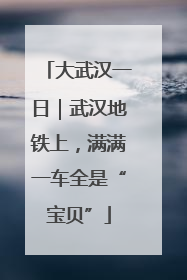 大武汉一日｜武汉地铁上，满满一车全是“宝贝”