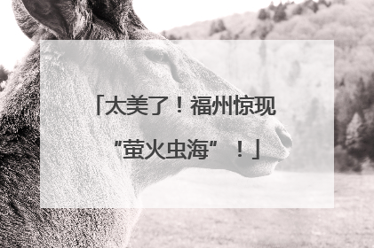 太美了！福州惊现“萤火虫海”！