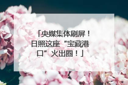 央媒集体刷屏！日照这座“宝藏港口”火出圈！