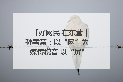 好网民·在东营｜孙雪慧：以“网”为媒传税音 以“屏”为介助发展