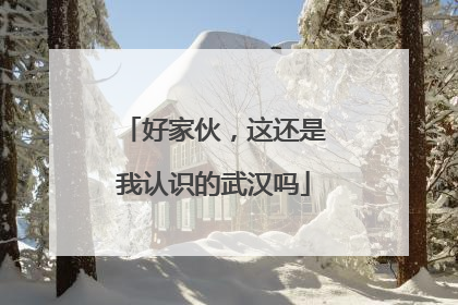 好家伙，这还是我认识的武汉吗