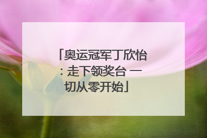 奥运冠军丁欣怡：走下领奖台 一切从零开始