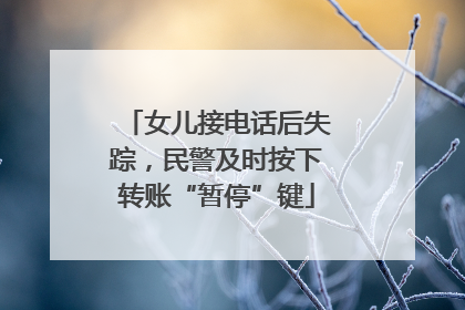 女儿接电话后失踪，民警及时按下转账“暂停”键