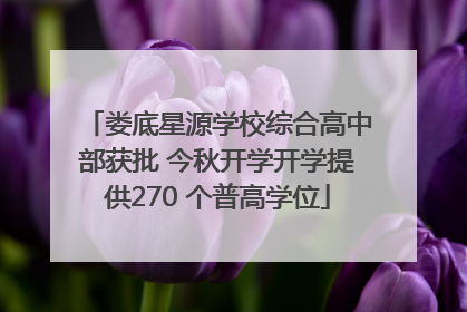 娄底星源学校综合高中部获批 今秋开学开学提供270 个普高学位
