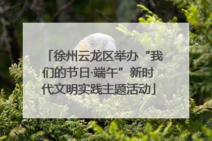 徐州云龙区举办“我们的节日·端午”新时代文明实践主题活动