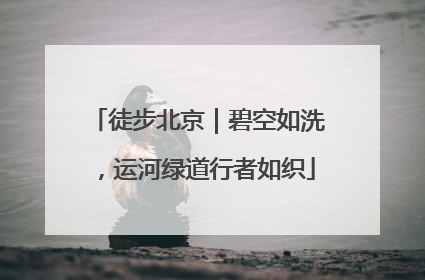 徒步北京｜碧空如洗，运河绿道行者如织
