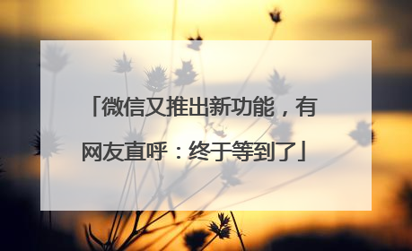 微信又推出新功能，有网友直呼：终于等到了