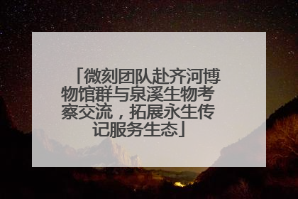 微刻团队赴齐河博物馆群与泉溪生物考察交流，拓展永生传记服务生态