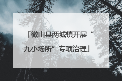 微山县两城镇开展“九小场所”专项治理