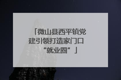 微山县西平镇党建引领打造家门口“就业圈”