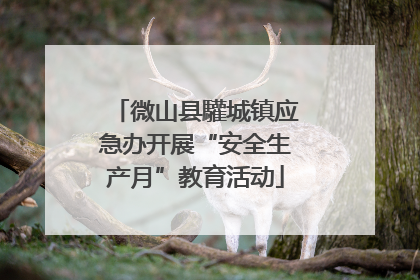 微山县驩城镇应急办开展“安全生产月”教育活动