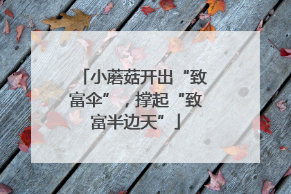 小蘑菇开出“致富伞”，撑起“致富半边天”