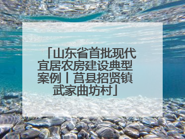 山东省首批现代宜居农房建设典型案例丨莒县招贤镇武家曲坊村