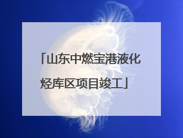 山东中燃宝港液化烃库区项目竣工